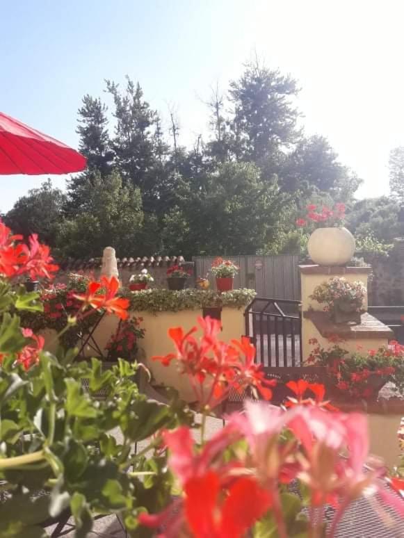 Sunset House Chambres De Hotes Magnac-Laval エクステリア 写真