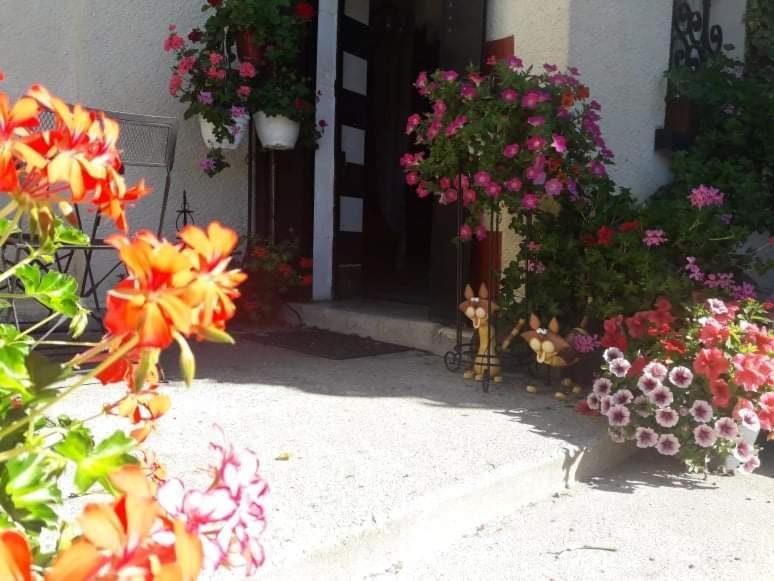 Sunset House Chambres De Hotes Magnac-Laval エクステリア 写真