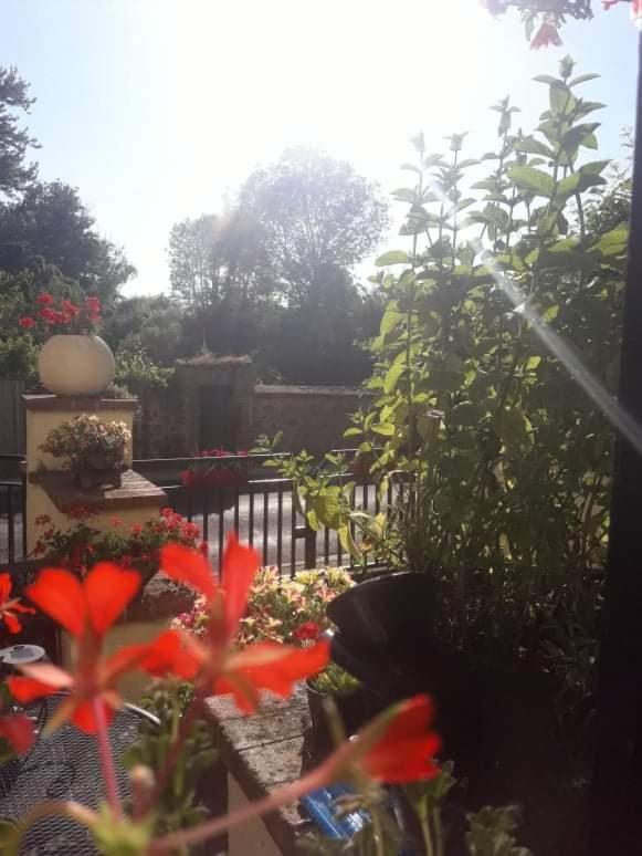 Sunset House Chambres De Hotes Magnac-Laval エクステリア 写真